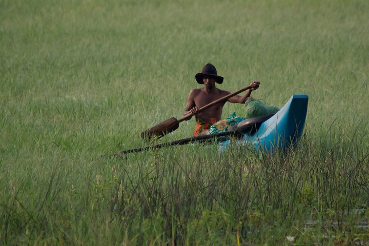 Sigiriya Rock and Countryside from Dambulla - Photo 1 of 10